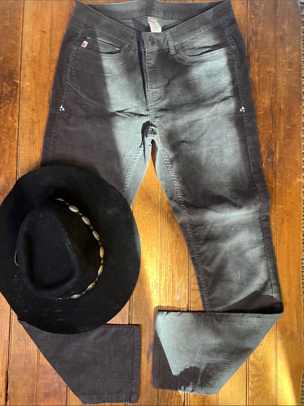 Women’s Stio Rivet Corduroy Pants Jeans gray brown size 10